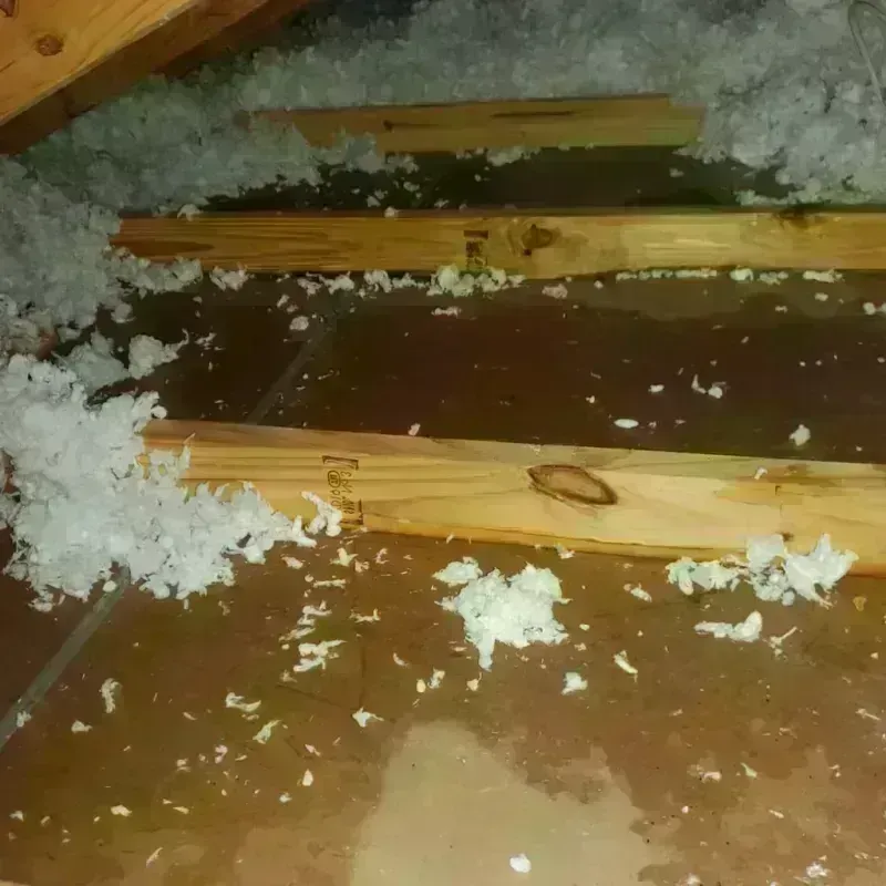 Attic Water Damage in Mannford, OK