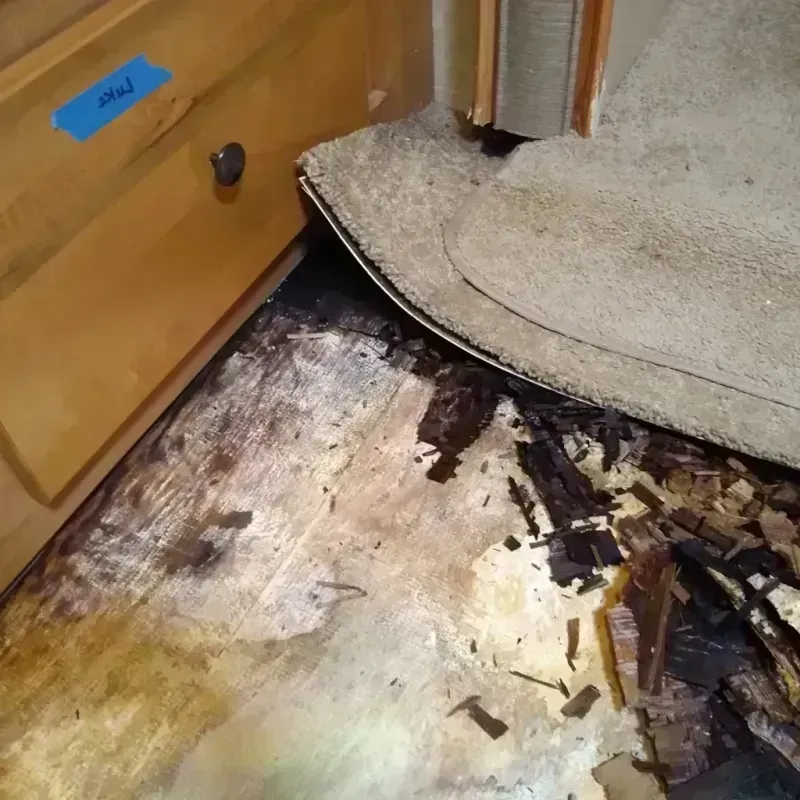 Wood Floor Water Damage in Mannford, OK